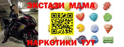 СК Владивосток