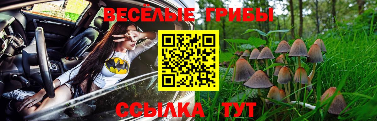Псилоцибиновые грибы MAGIC MUSHROOMS  Псилоцибиновые грибы Psilocybine cubensis  как найти закладки  Мыски  Вход с VPN 